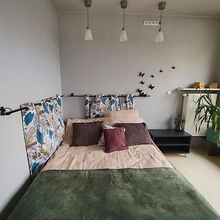 Totutotam Studio Varsó Kültér fotó